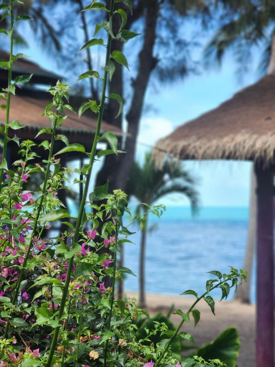 A Little Bungalows By Beach Amphoe Koksamui Екстериор снимка